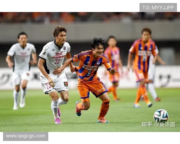 卡拉巴与谢里夫对决分析及胜负预测全面解析